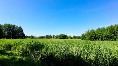 Wojsławickie Klimaty - galeria zdjęć